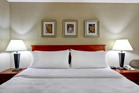 Holiday Inn Montreal, An Ihg - 69