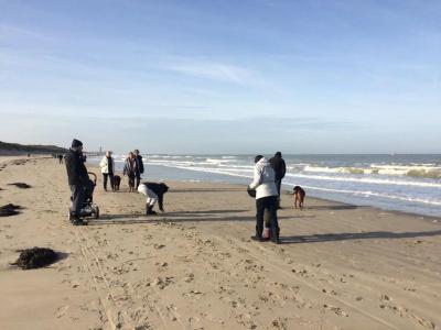 Zeepark Zeewind - 8