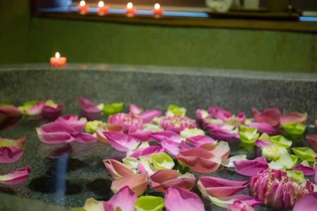 Golden Temple Retreat - 103