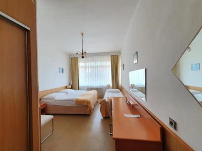 Jana / Pension Domov Mládeže - 3