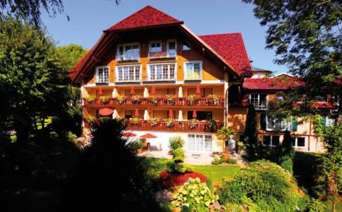 Rebstock Durbach - 84