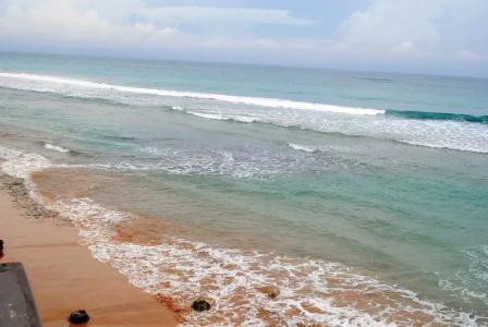 Ocean Reef - 16