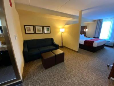 Comfort Suites North - 83