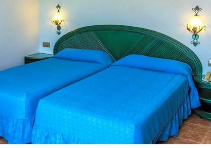 Kaktus Albir - 59