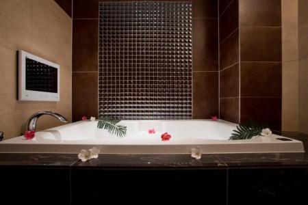 and Spa Lotus Modern (Adult Only) - 58
