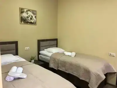 Ametapi - 5