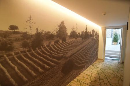 Lisbon Wine - 19