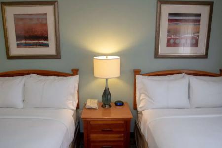 Sonesta Es Suites San Antonio Northwest - 45