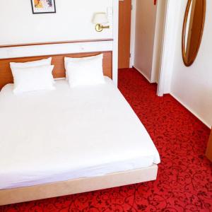 Hôtel Astoria - 23