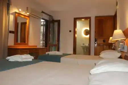 Holifera - 4