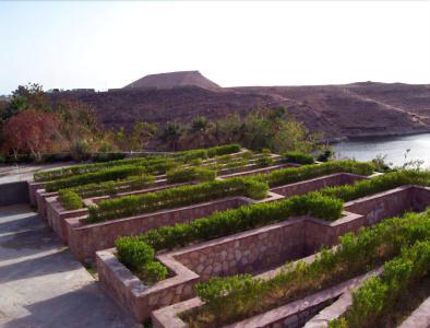 Nefertari Abu Simble - 18