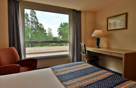 Holiday Inn Cordoba, An Ihg - 45