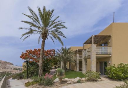 Ein Gedi Kibbutz - 74