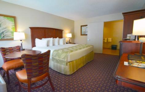 Rosen Inn Closest to Universal - 4