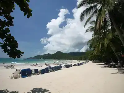 Samui First House - 12