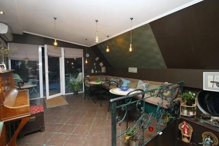 Terrace Garden - 19