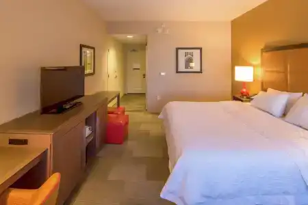 Hampton Inn Houston Downtown - 34