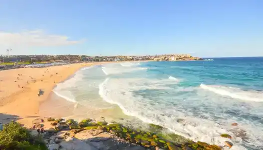 Ultimate Bondi Beach - 9