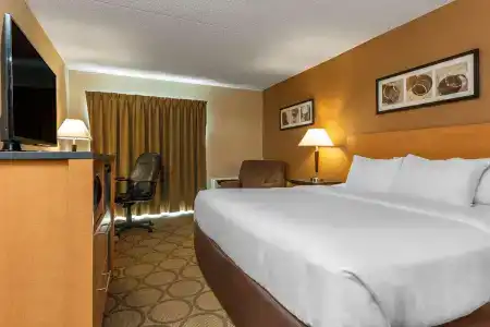 Comfort Inn - 43