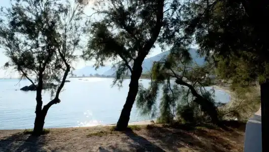 Testa di Monaco - Natural Beach Village - 35
