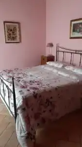 Agriturismo Cantinaccia di Sopra - 2