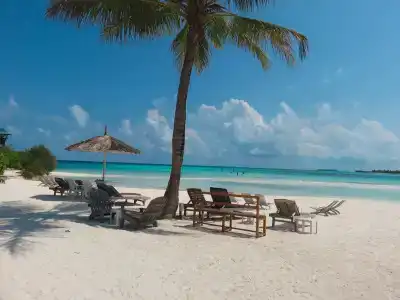 Fun Island Resort & Spa - 40