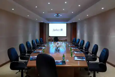 Radisson Blu Alexandria - 17