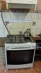 Виноградная лоза - 1