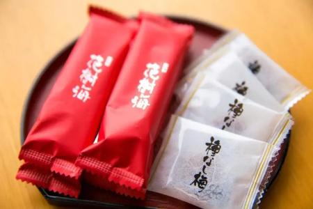 Tresta Shirayama - 29