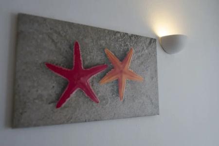 Coral Star - 38