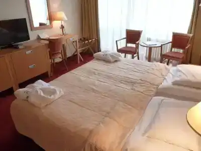 Ensana Esplanade - 65