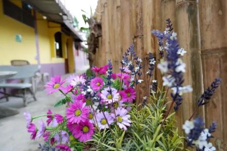 Marina hut guest house - 19