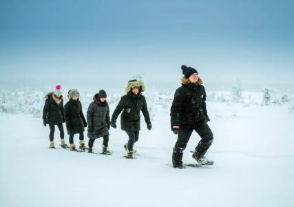 Star Arctic - 20
