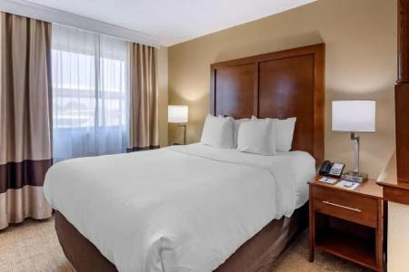 Comfort Inn Nashville West - 48