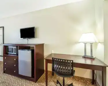 Quality Inn & Suites By the Parks - 5