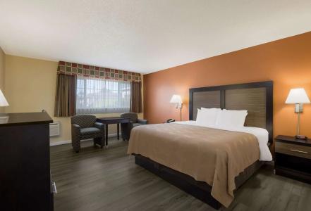 Quality Inn & Suites Airport - 41