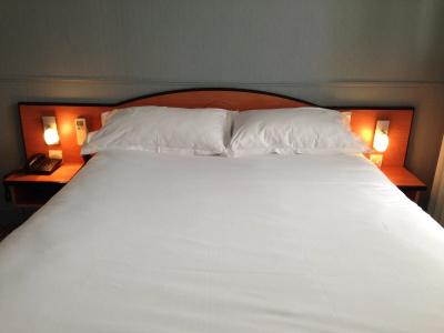 Hôtel Prince Albert Concordia - 20