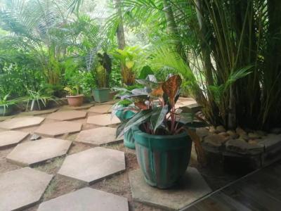 Ella Flower Garden Resort - 17