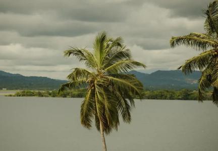 Thaulle Resort - 17