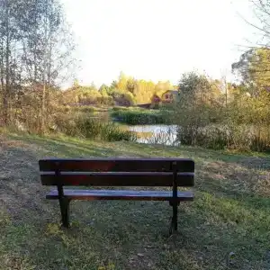 Рябинушка 1 - 9