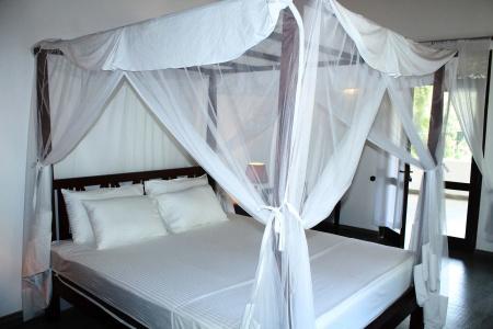 Villa Shanthi - 6