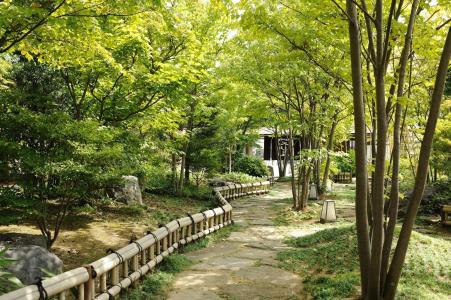 Ryotei Ryokan Yasui - 10