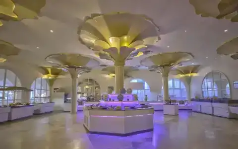 Shalimar - 9