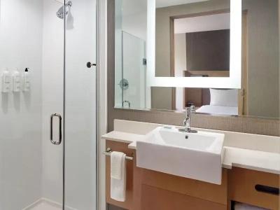 SpringHill Suites by Marriott Atlanta Northwest - 40