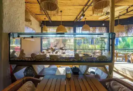 Alaçatı Aura Plus - 21