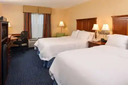 Hampton Inn and Suites South - 4