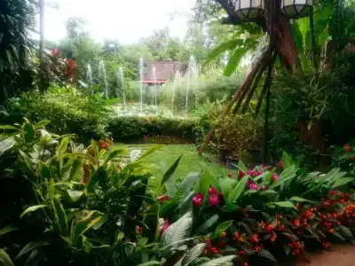 Viang Thapae Resort- Sha Extra Plus - 35