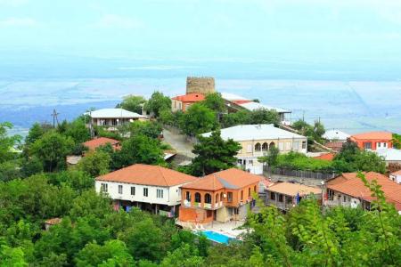 Guest House Pirosmani 60 - 1