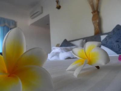 Divers Lodge Guest House - 24