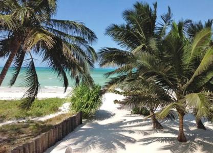 Pongwe Bay - 33